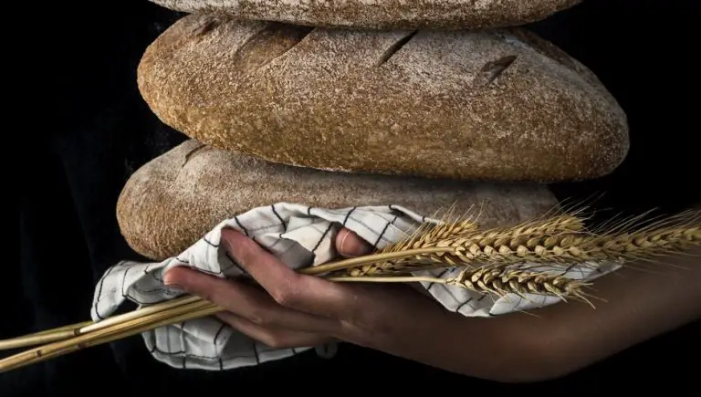 what is the best bread for weight loss
