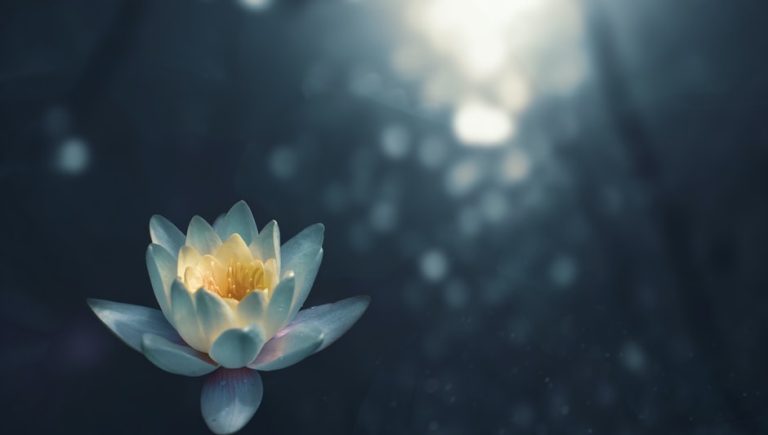 what makes transcendental meditation different